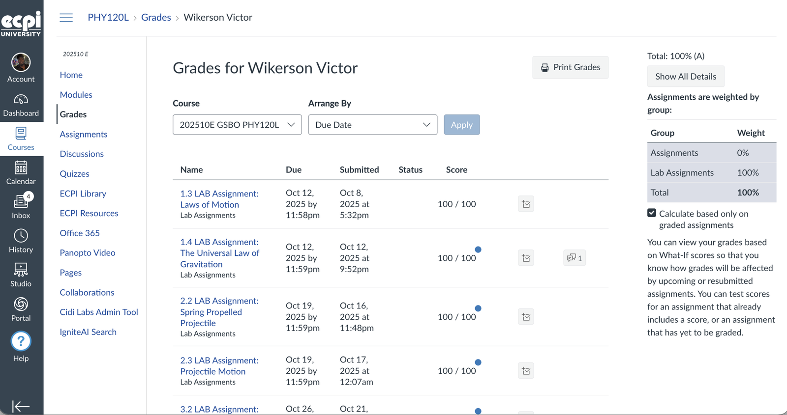 Canvas gradebook screenshot showing 100%